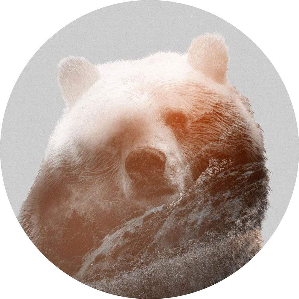 Dein Traumzimmer Komar - Deko Sticker - DOTS - Bearava Fototapeten