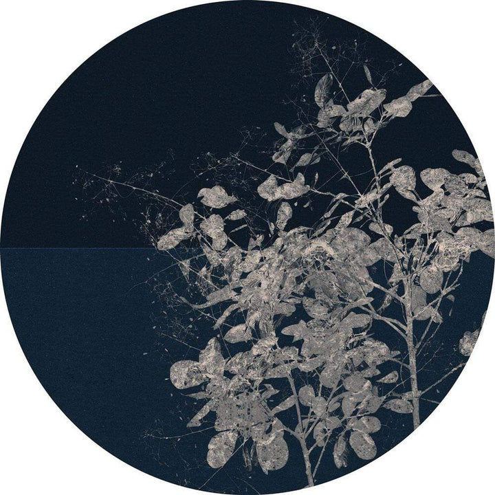 Dein Traumzimmer Komar - Deko Sticker - DOTS - Branch Fototapeten