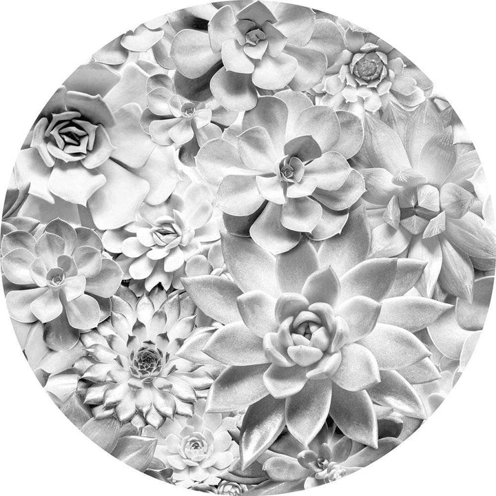 Dein Traumzimmer Komar - Deko Sticker - DOTS - Echeveria Fototapeten