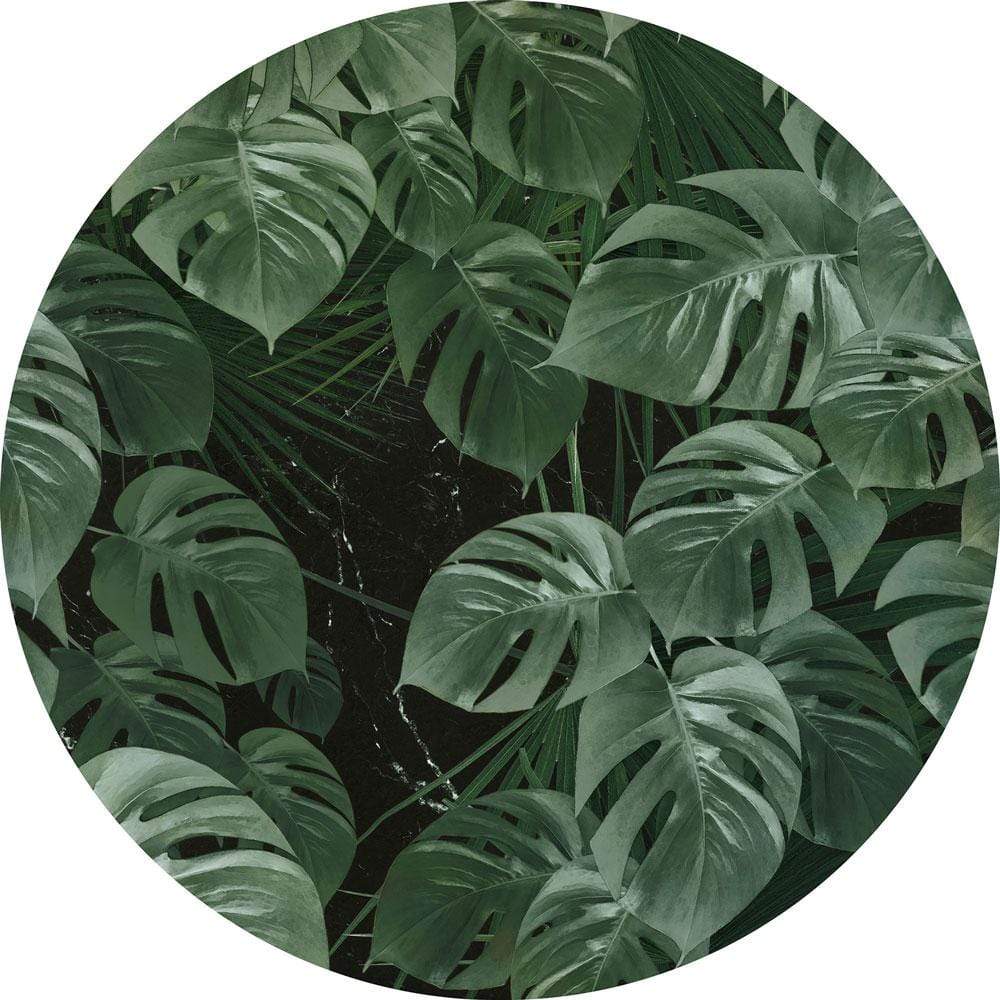Dein Traumzimmer Komar - Deko Sticker - DOTS - Novel Monstera Fototapeten