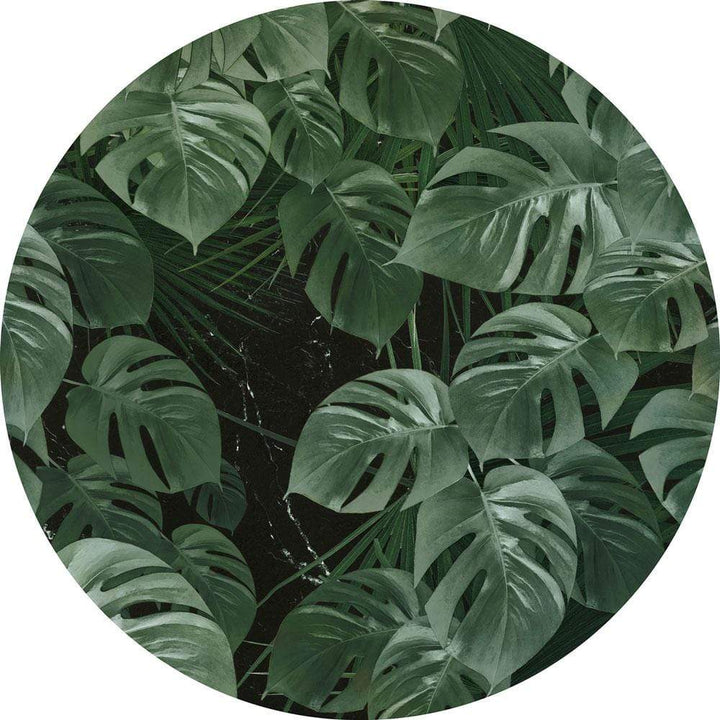 Dein Traumzimmer Komar - Deko Sticker - DOTS - Novel Monstera Fototapeten