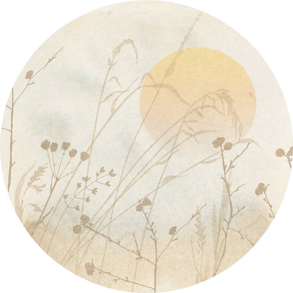 Dein Traumzimmer Komar - Deko Sticker - DOTS - Roseau Fototapeten