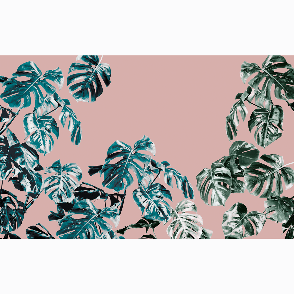 Komar Fototapete - Pure - Monstera Rosé | Dein Traumzimmer | Bestpreis