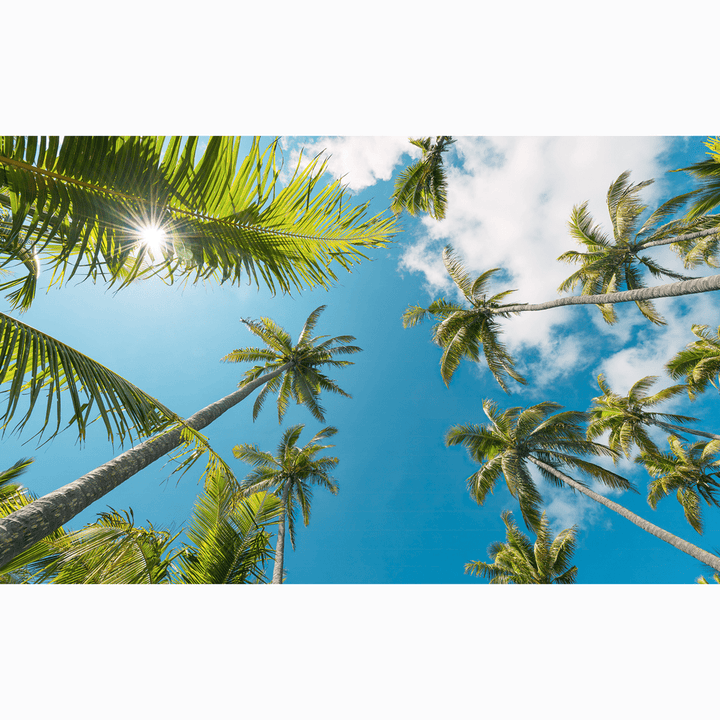 Dein Traumzimmer Komar Fototapete - S.Hefele 2 - Coconut Heaven II Fototapeten
