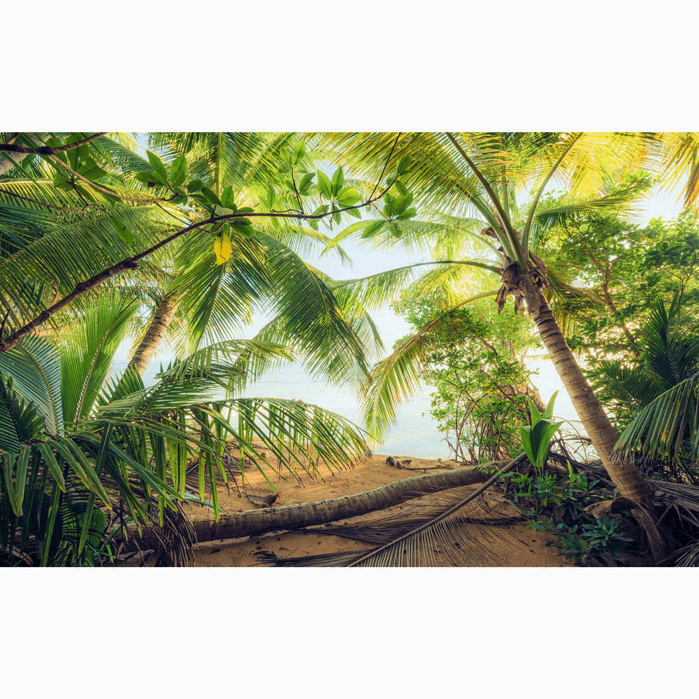 Dein Traumzimmer Komar Fototapete - S.Hefele 2 - Piratenversteck Fototapeten