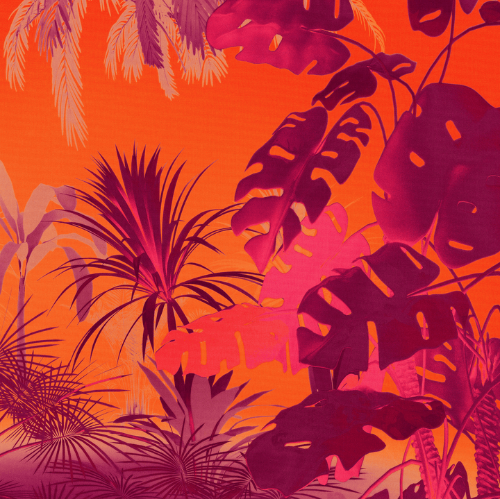 Dein Traumzimmer Funky Jungle I Flair - Komar Digitaldruck-Fototapete Fototapeten