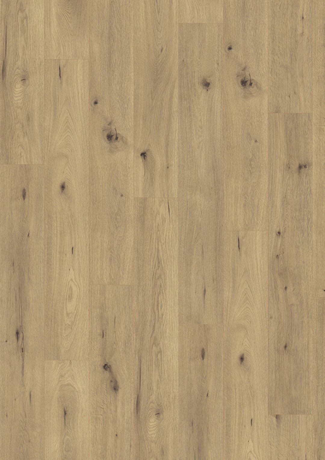 Dein Traumzimmer JOKA Laminatboden Madison CITY - 4844 Oak spirit Laminatboden