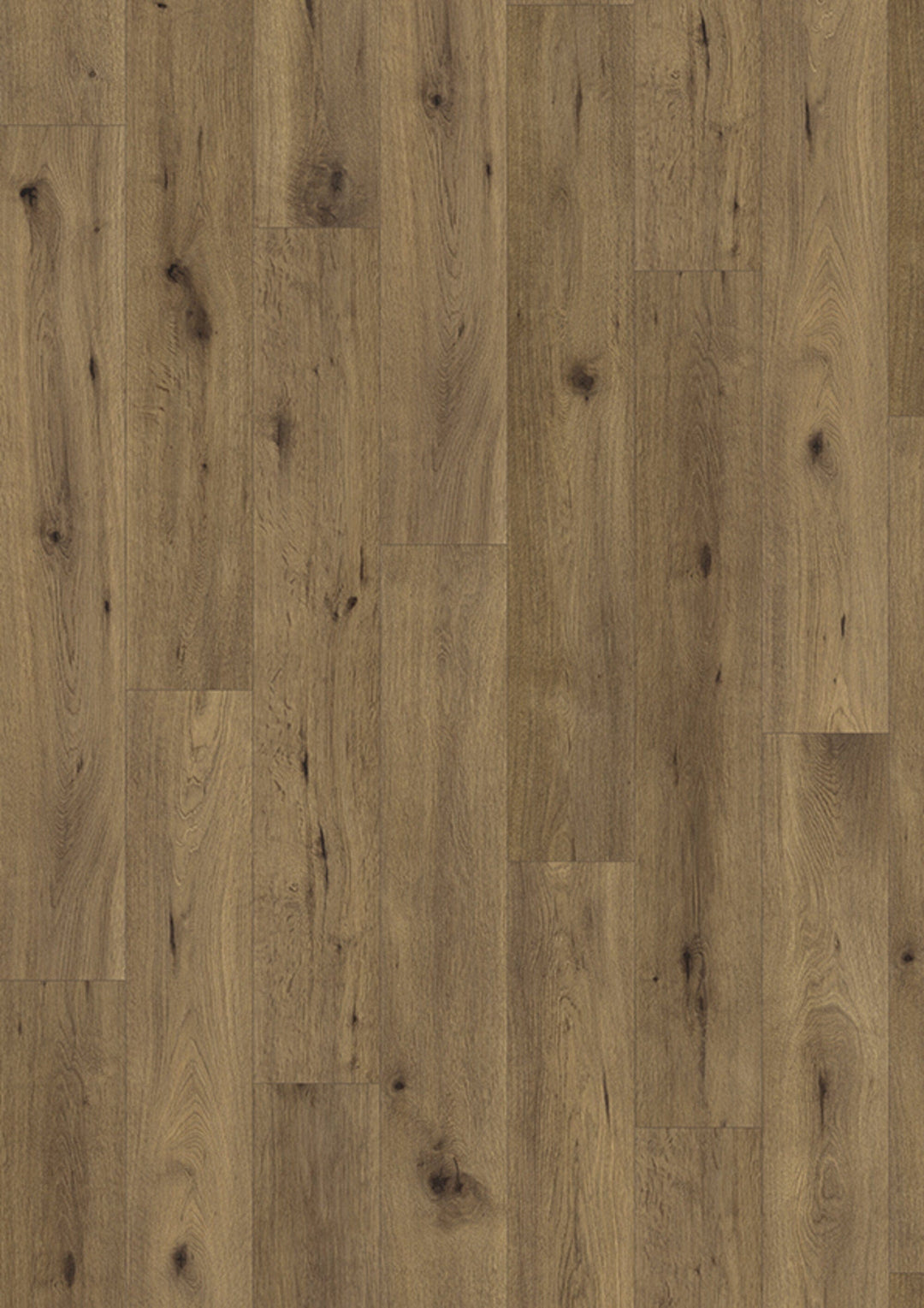Dein Traumzimmer JOKA Laminatboden Madison CITY - 4846 Oak Trust Laminatboden