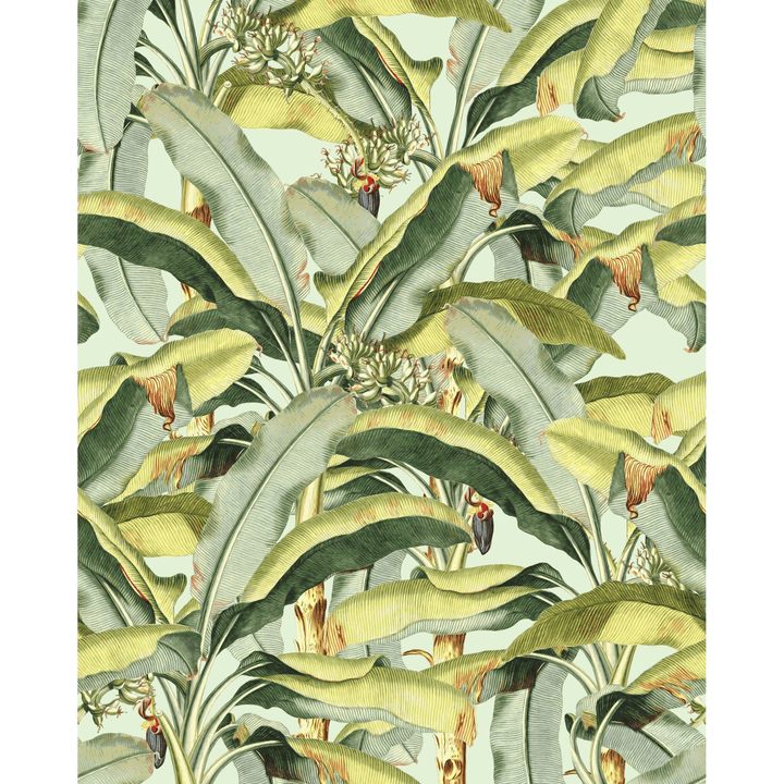 Dein Traumzimmer KOMAR FOTOTAPETE - SEASON - Banana Grove Fototapeten