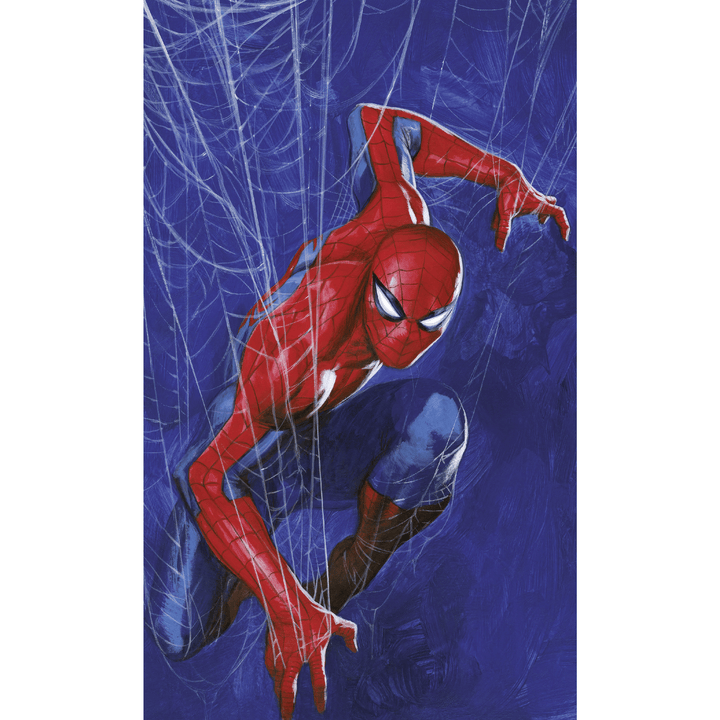 Dein Traumzimmer KOMAR - MARVEL Spider-Man Spider Web I Digitaldrucktapete Fototapeten