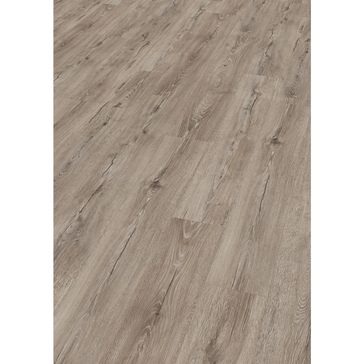 Dein Traumzimmer MEGA Laminatboden - BasicLine V4 Klick - Eiche Arkona 1728 Laminatboden