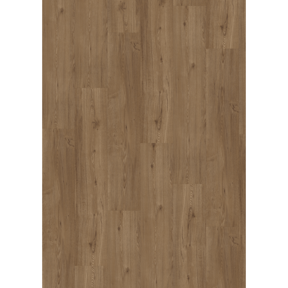 Dein Traumzimmer VivaFloors Designboden - Serie 5000 - Eiche 5001 Klebevariante Vinylboden