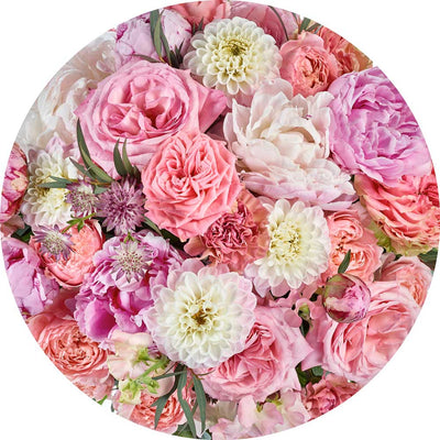 Dein Traumzimmer Komar - Deko Sticker - DOTS - Beautiful Blossoms Fototapeten