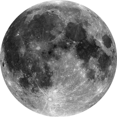 Dein Traumzimmer Komar - Deko Sticker - DOTS - Moon Fototapeten