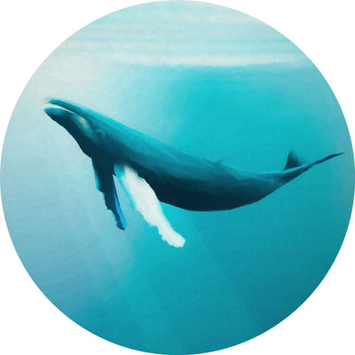 Dein Traumzimmer Komar - Deko Sticker - DOTS - Whale Watching K-FT-DOT-D1-081