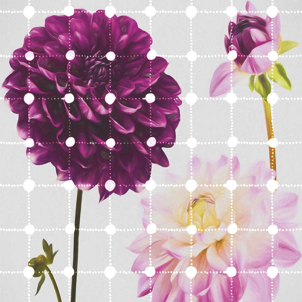 Dein Traumzimmer Komar Fototapete - Infinity - Flowers & Dots Fototapeten