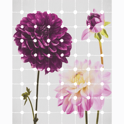 Dein Traumzimmer Komar Fototapete - Infinity - Flowers & Dots Fototapeten