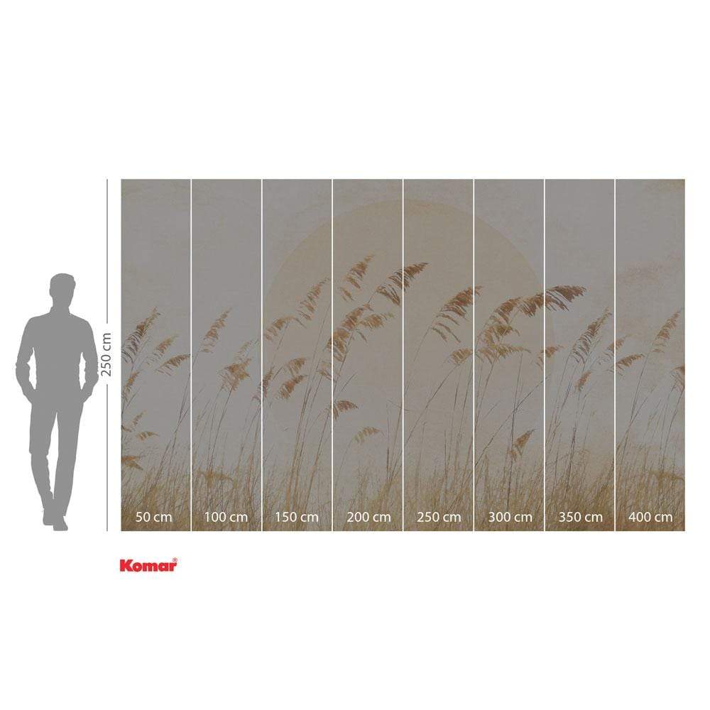Dein Traumzimmer Komar Fototapete - Le Jardin - Dune Grass Fototapeten