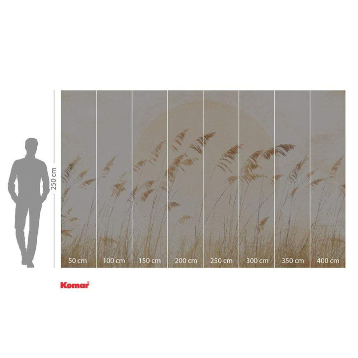 Dein Traumzimmer Komar Fototapete - Le Jardin - Dune Grass Fototapeten