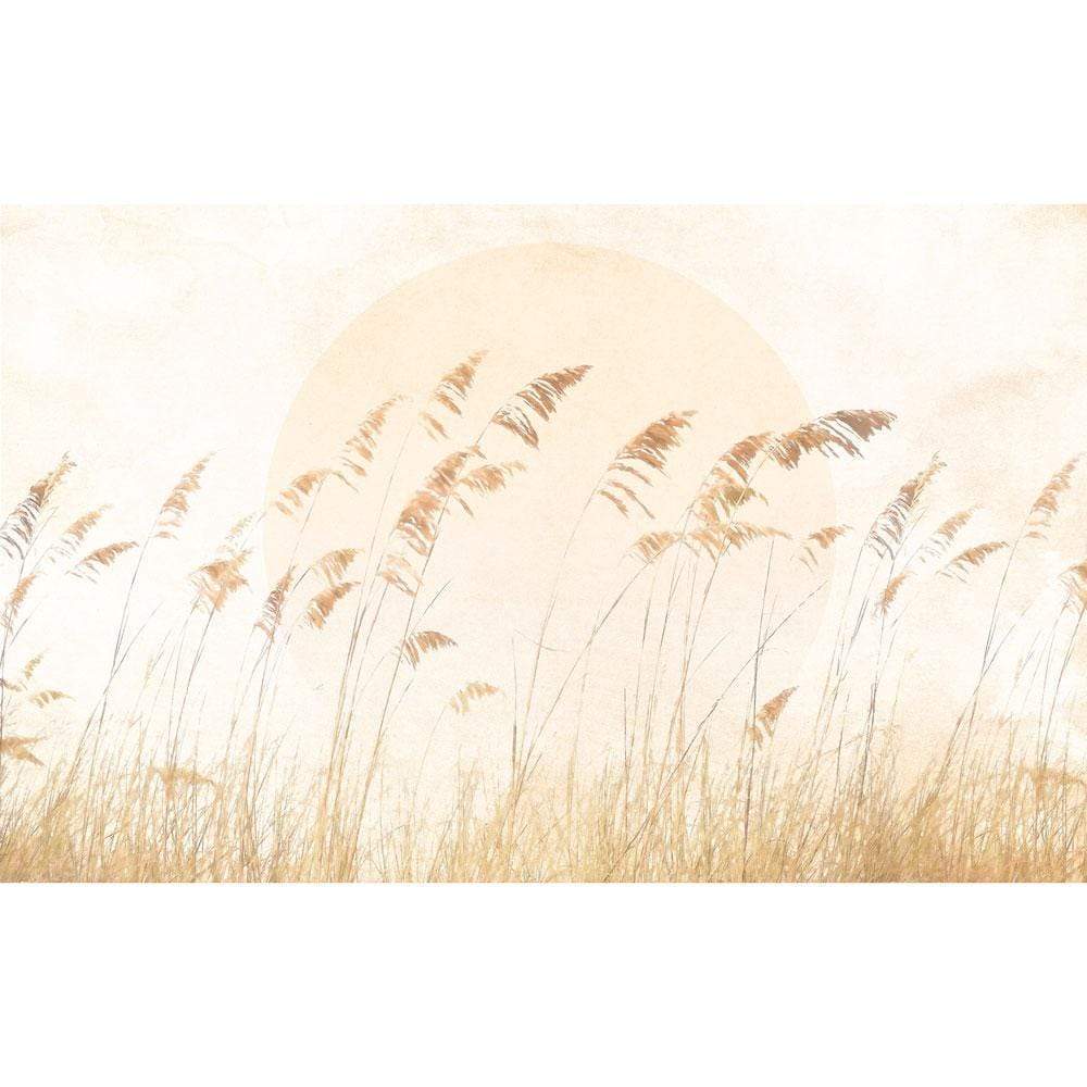 Dein Traumzimmer Komar Fototapete - Le Jardin - Dune Grass Fototapeten