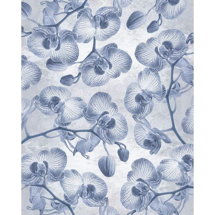 Dein Traumzimmer Komar Fototapete - Le Jardin - Orchidée Fototapeten
