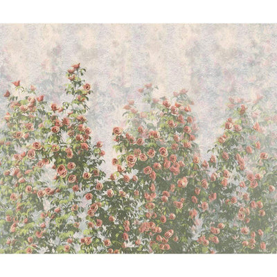 Dein Traumzimmer Komar Fototapete - Le Jardin - Wall Roses Fototapeten