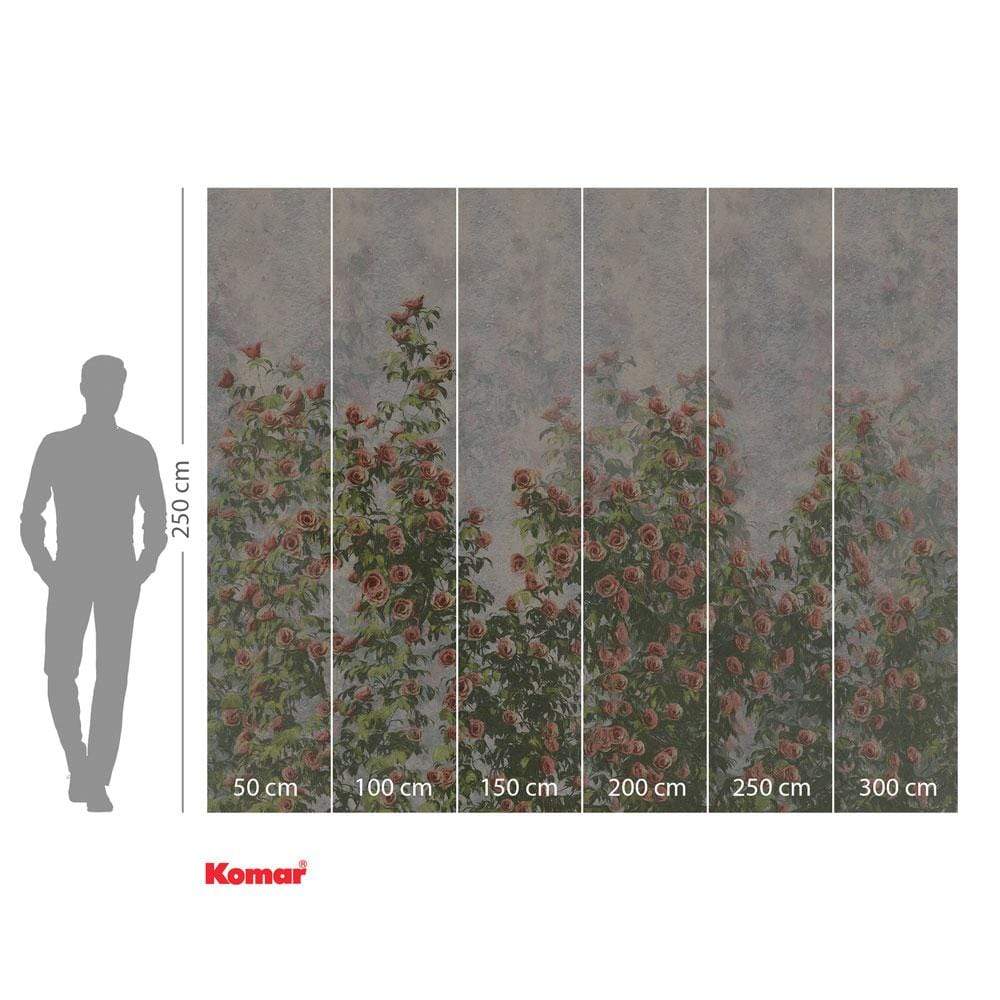 Dein Traumzimmer Komar Fototapete - Le Jardin - Wall Roses Fototapeten