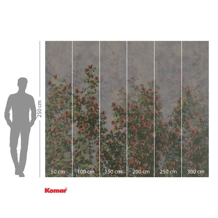 Dein Traumzimmer Komar Fototapete - Le Jardin - Wall Roses Fototapeten