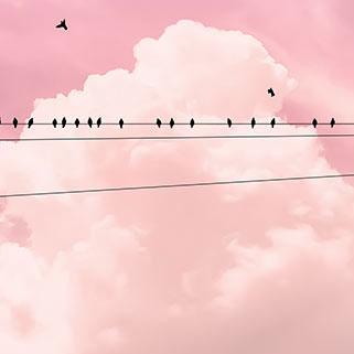 Dein Traumzimmer Komar Fototapete - Pure - Cloud Wire Fototapeten