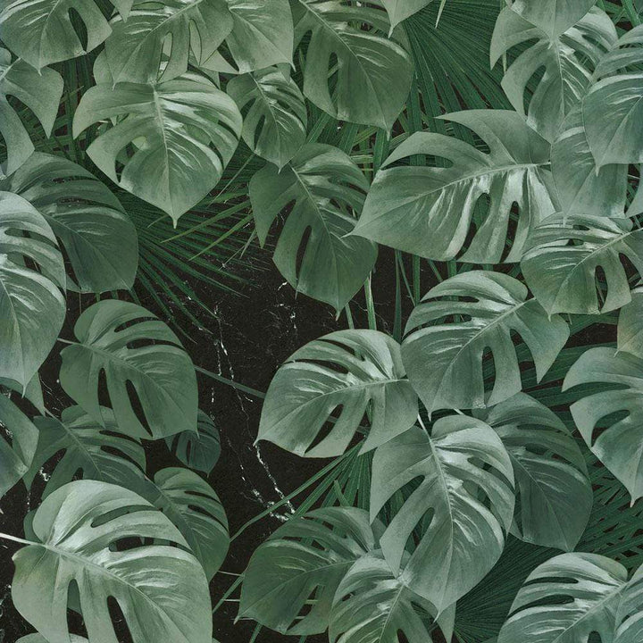 Dein Traumzimmer Komar Fototapete - Pure - Monstera on Marble Fototapeten