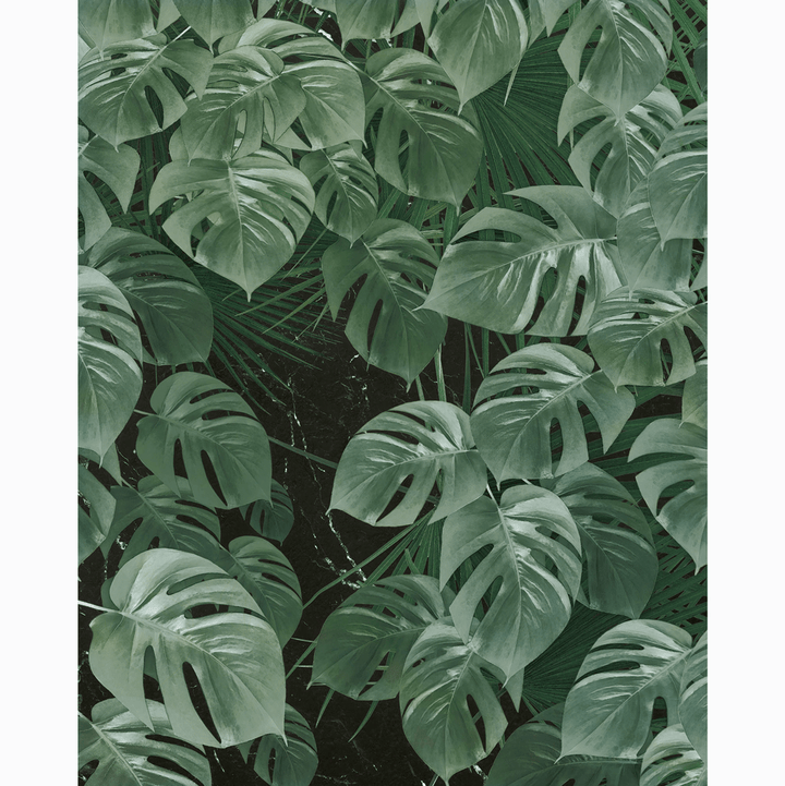 Dein Traumzimmer Komar Fototapete - Pure - Monstera on Marble Fototapeten