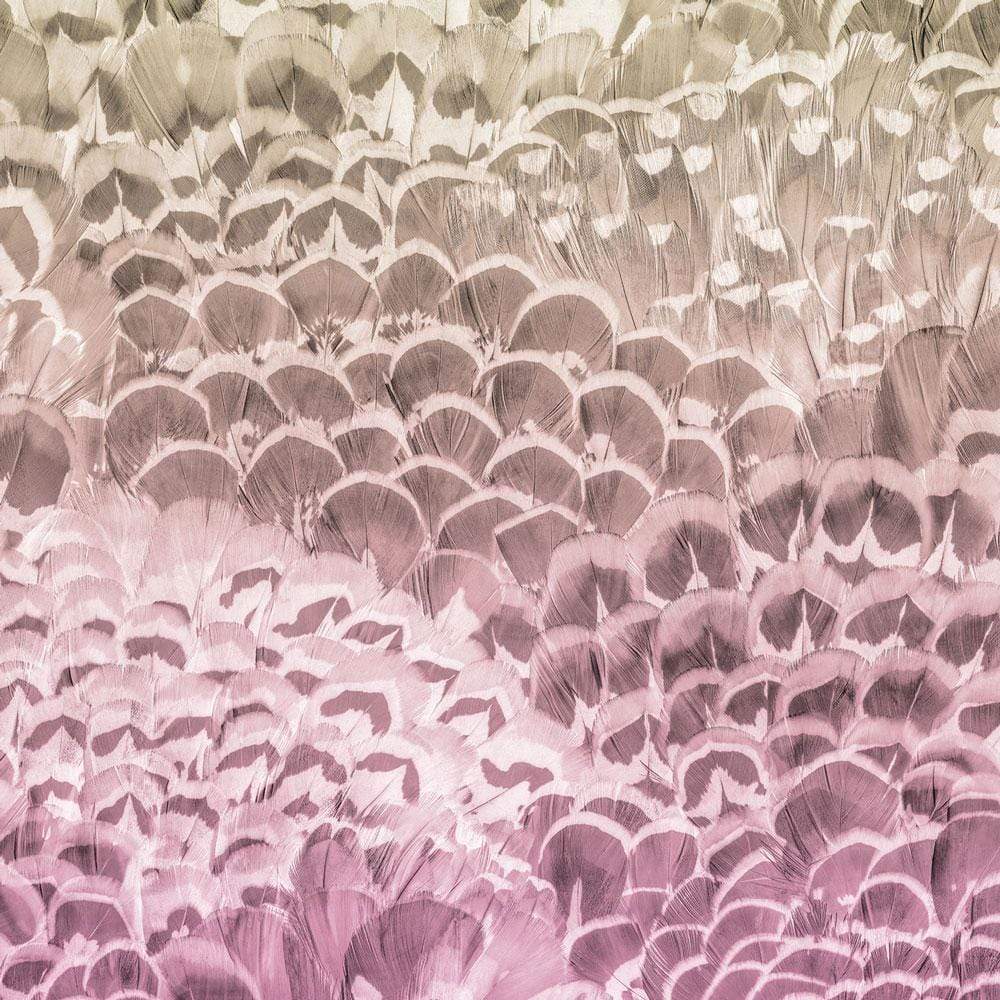 Dein Traumzimmer Komar Fototapete - Pure - Pale Feathers Fototapeten