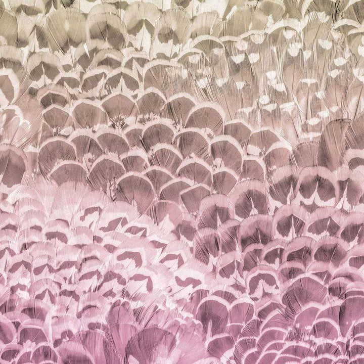 Dein Traumzimmer Komar Fototapete - Pure - Pale Feathers Fototapeten