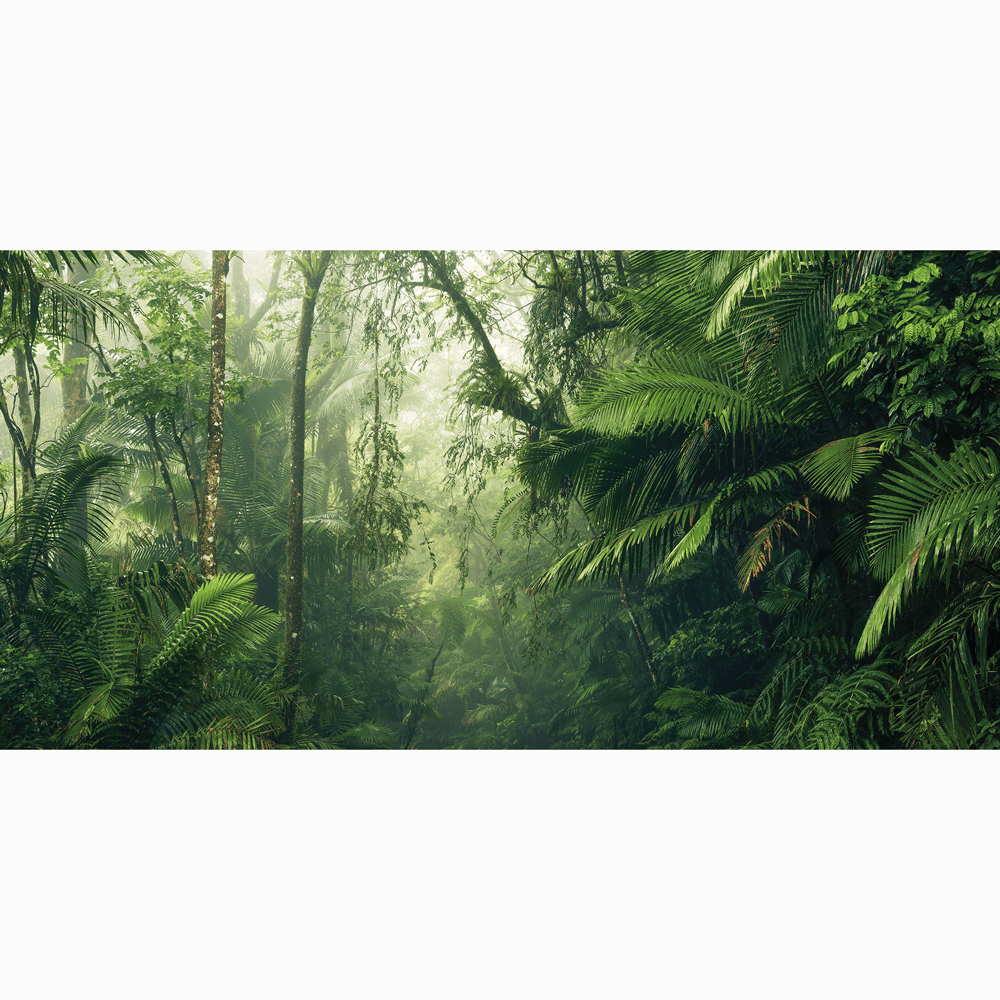 Dein Traumzimmer Komar Fototapete - Pure - Tropenwelten Fototapeten