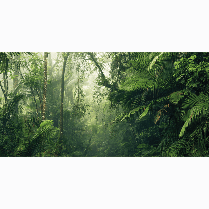 Dein Traumzimmer Komar Fototapete - Pure - Tropenwelten Fototapeten