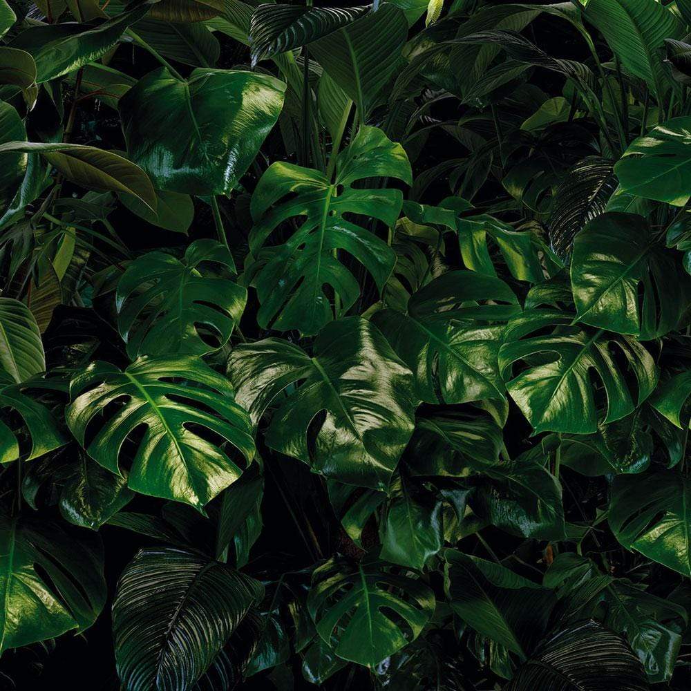 Dein Traumzimmer Komar Fototapete - Pure - Tropical Wall Fototapeten
