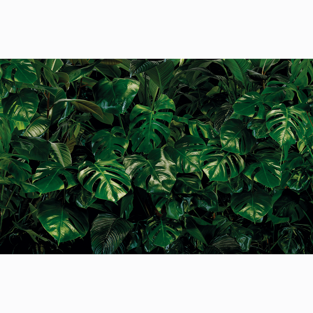 Dein Traumzimmer Komar Fototapete - Pure - Tropical Wall Fototapeten