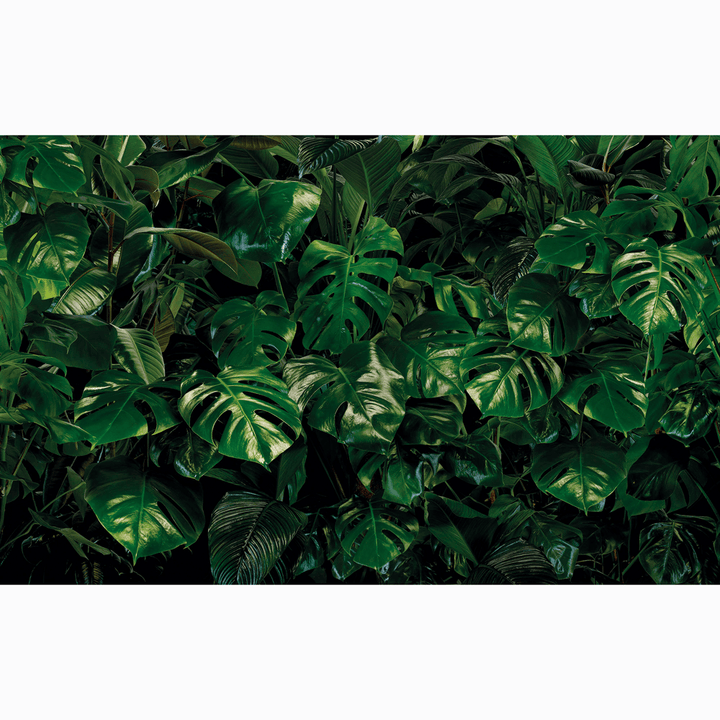 Dein Traumzimmer Komar Fototapete - Pure - Tropical Wall Fototapeten