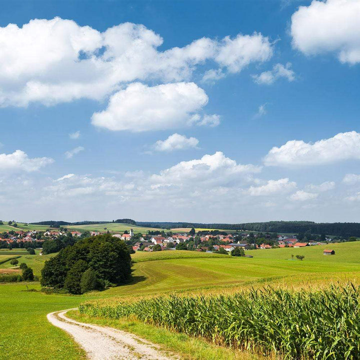Dein Traumzimmer Komar Fototapete - S.Hefele 2 - Bayrische Idylle Fototapeten