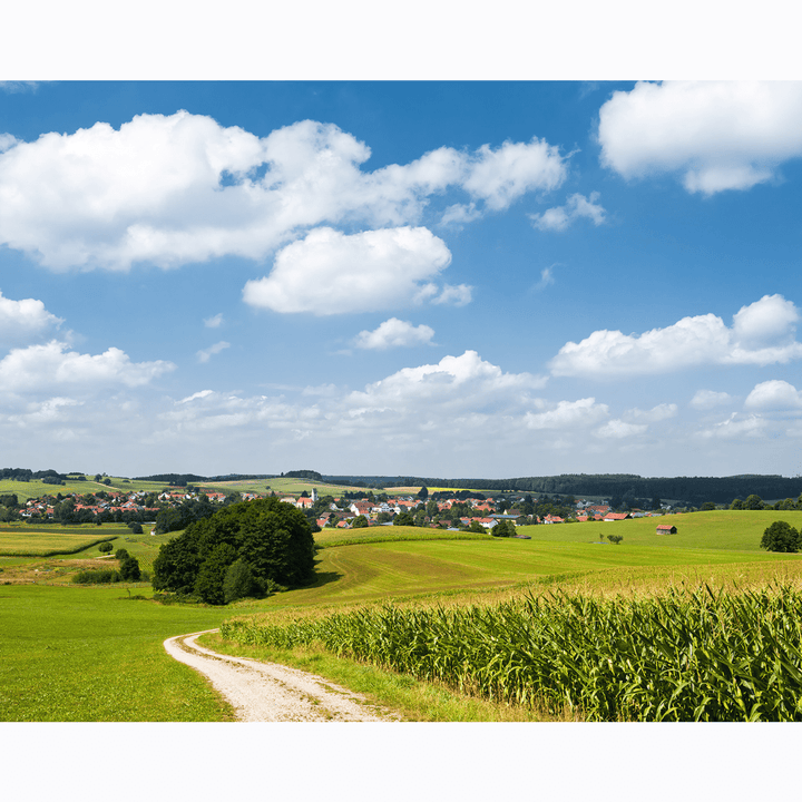Dein Traumzimmer Komar Fototapete - S.Hefele 2 - Bayrische Idylle Fototapeten