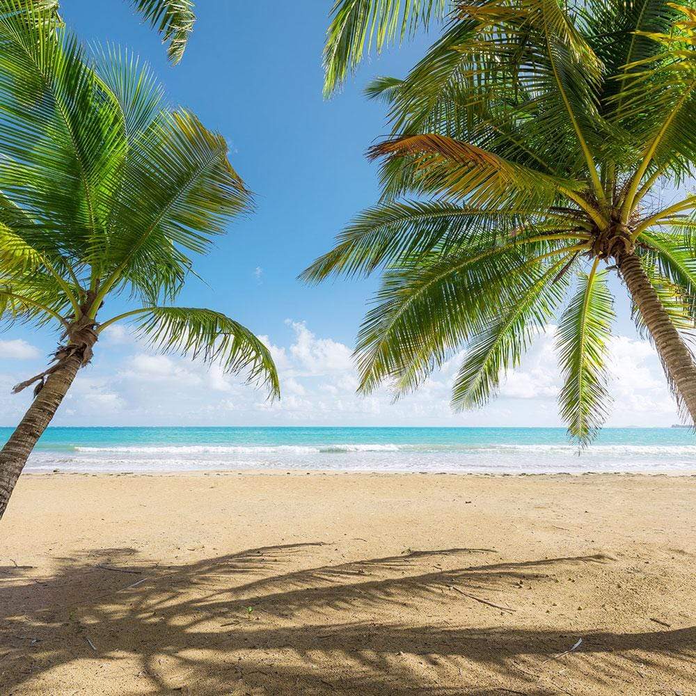 Dein Traumzimmer Komar Fototapete - S.Hefele 2 - Caribbean Days II Fototapeten