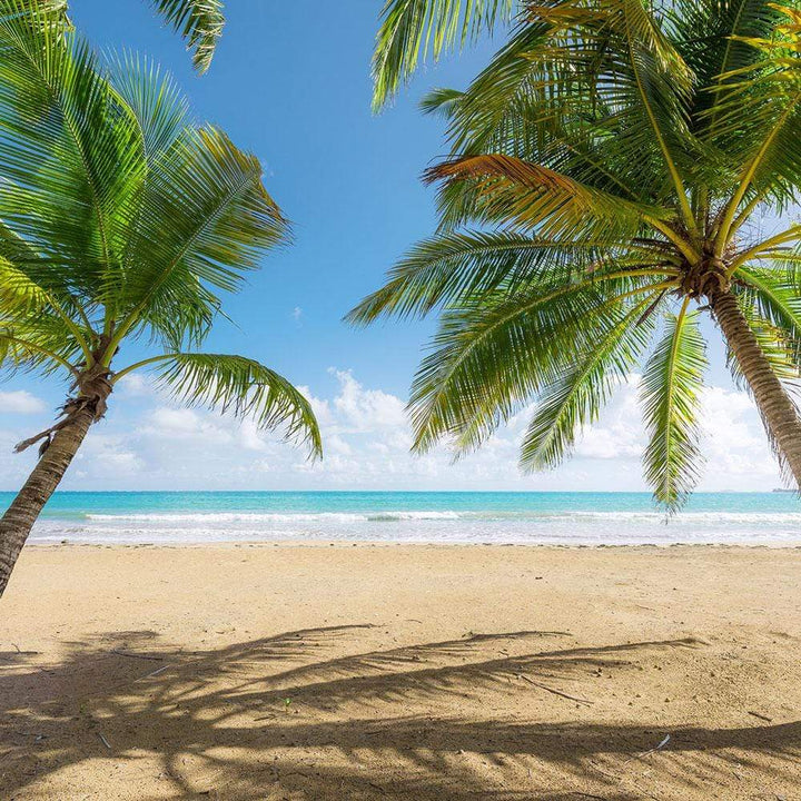 Dein Traumzimmer Komar Fototapete - S.Hefele 2 - Caribbean Days II Fototapeten