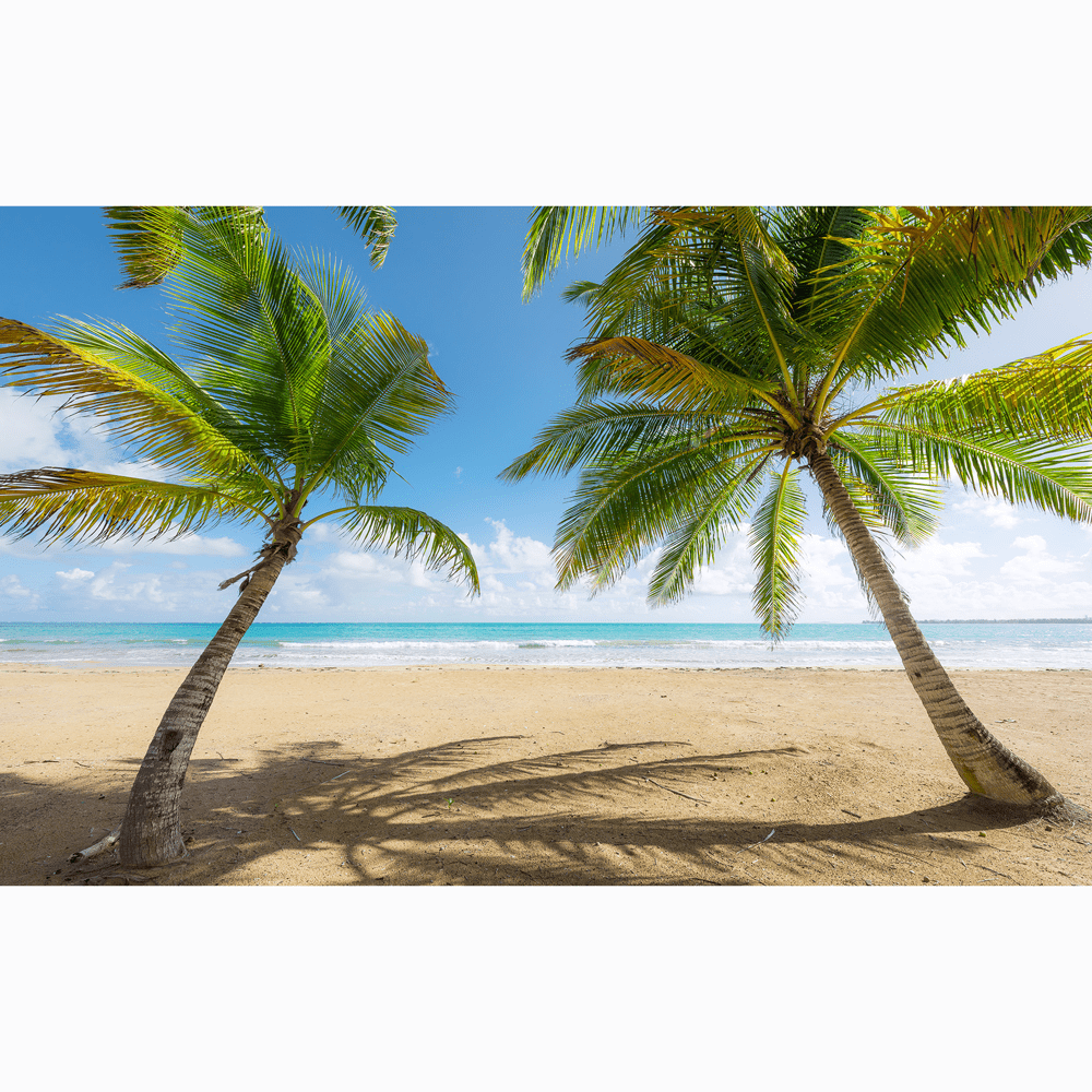 Dein Traumzimmer Komar Fototapete - S.Hefele 2 - Caribbean Days II Fototapeten