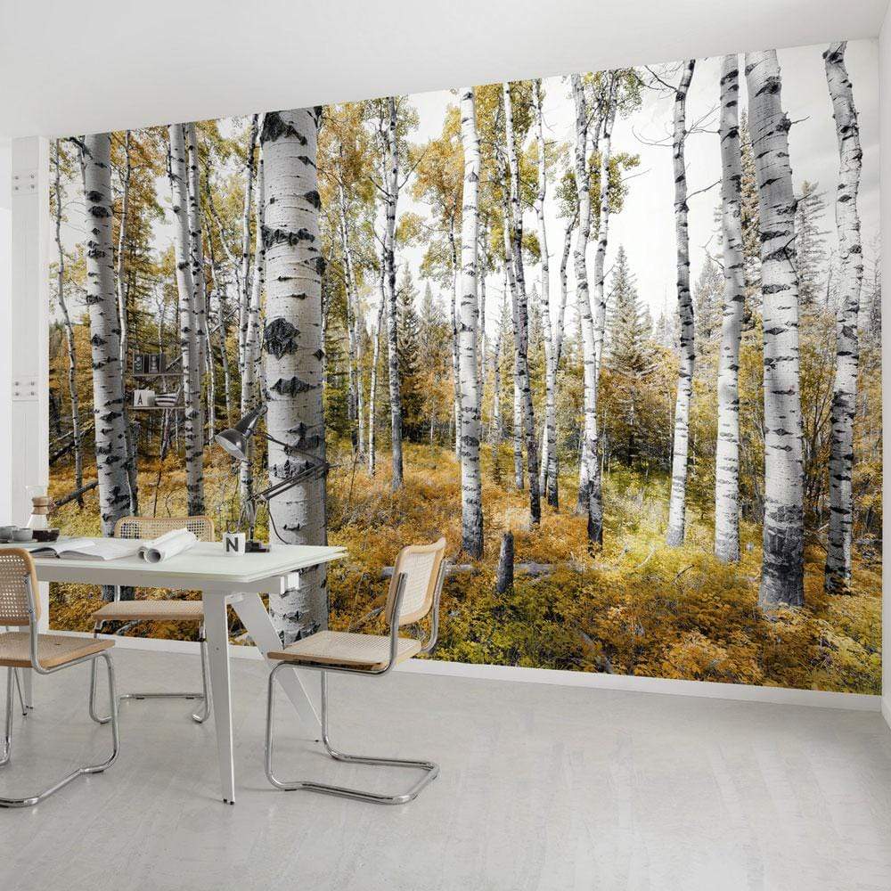 Dein Traumzimmer Komar Fototapete - S.Hefele 2 - Colorful Aspenwoods Fototapeten