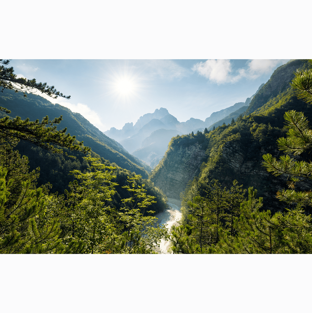 Dein Traumzimmer Komar Fototapete - S.Hefele 2 - Elbenpforte Fototapeten