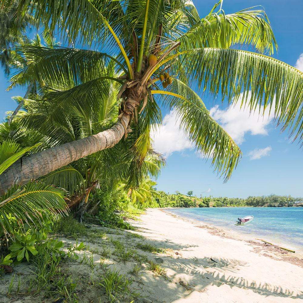 Dein Traumzimmer Komar Fototapete - S.Hefele 2 - Fiji Dreams Boat Fototapeten