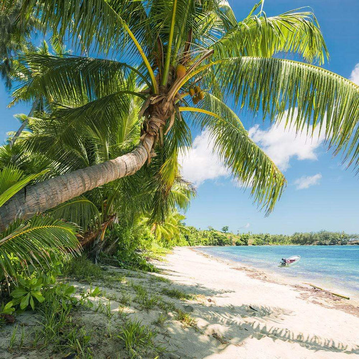 Dein Traumzimmer Komar Fototapete - S.Hefele 2 - Fiji Dreams Boat Fototapeten