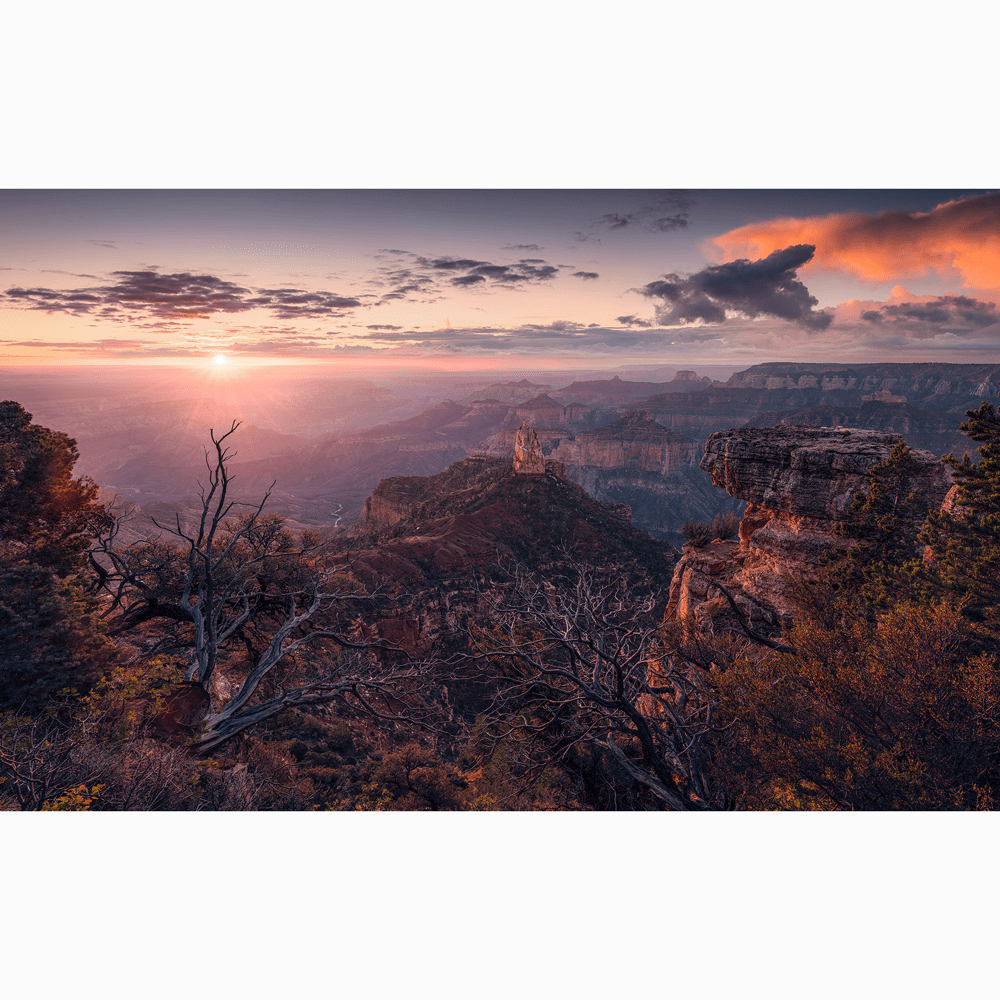 Dein Traumzimmer Komar Fototapete - S.Hefele 2 - Grand View Fototapeten