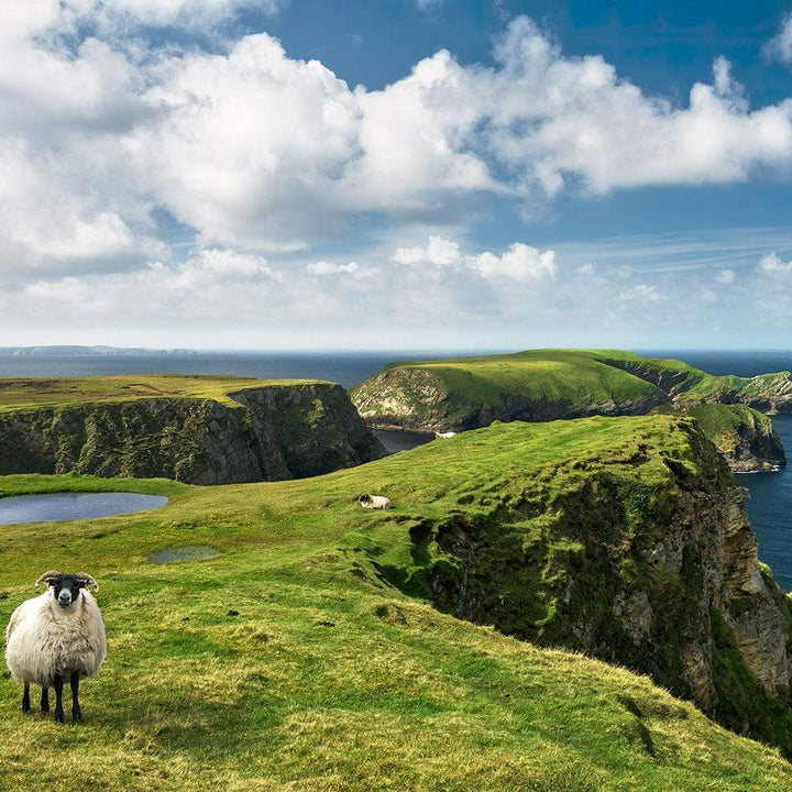 Dein Traumzimmer Komar Fototapete - S.Hefele 2 - Green Ireland Fototapeten
