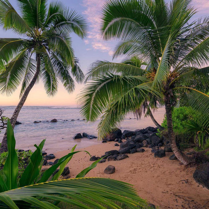 Dein Traumzimmer Komar Fototapete - S.Hefele 2 - Hawaiian Dreams Fototapeten